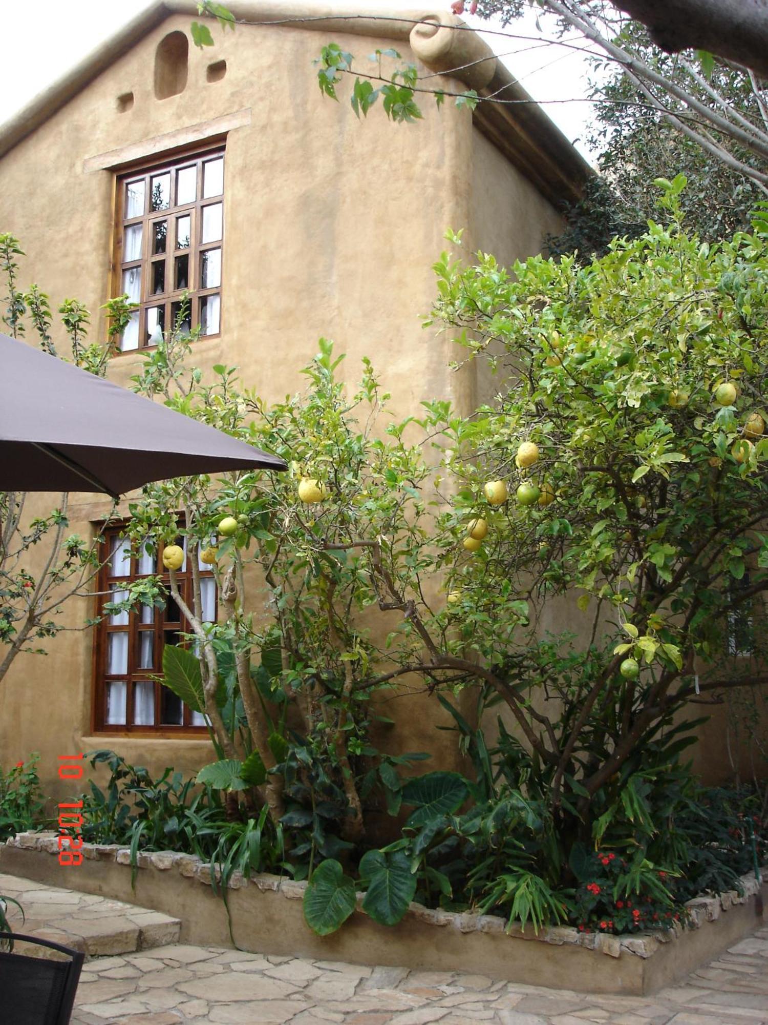 Guayaba Inn Boutique Hotel San Cristóbal de Las Casas 외부 사진